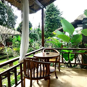 Astawa House Pensión